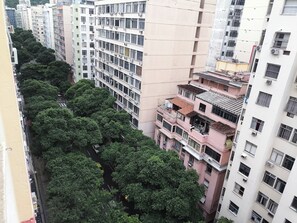 Um edifício alto com várias varandas, uma linha densa de árvores e uma rua estreita.