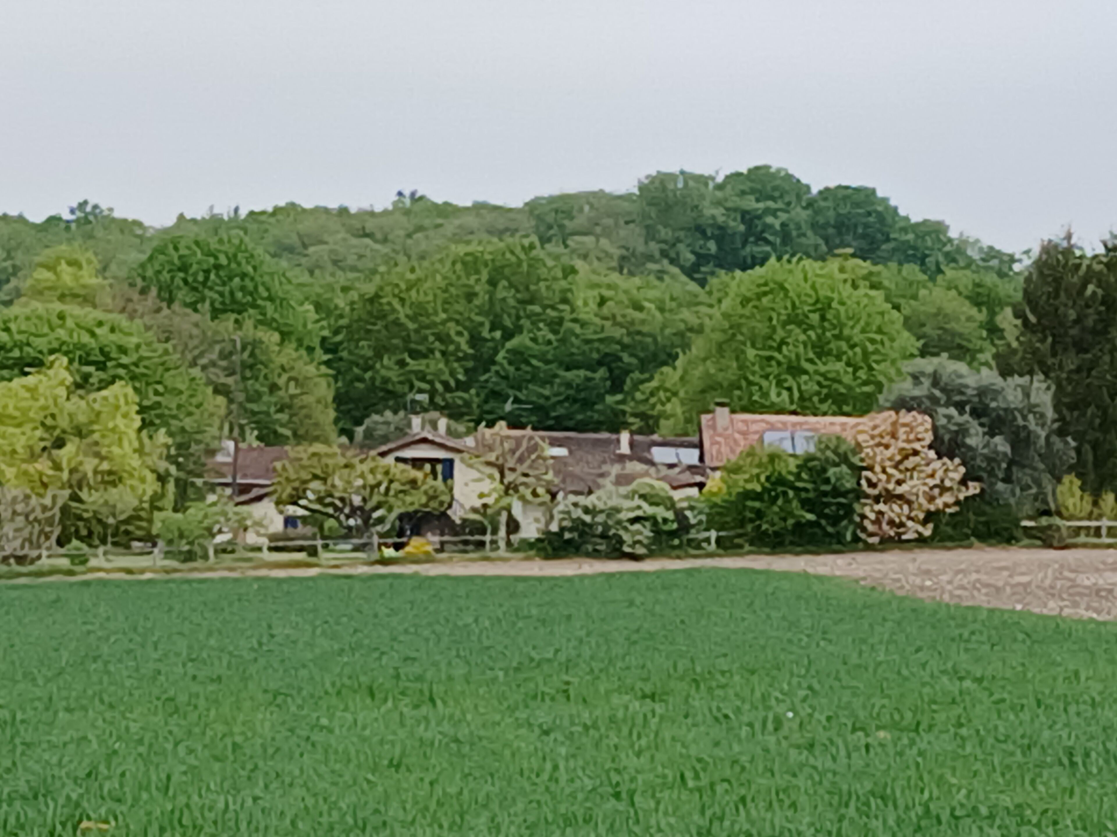 Overnatningsstedets område