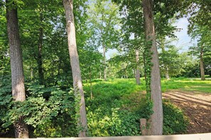 Property grounds - Lovely 2-bedroom condo with AC in Fontana-on-Geneva Lake (Fontana-on-Geneva Lake)