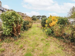A garden pathway with various plants and shrubs. - East Meets West (Criccieth)