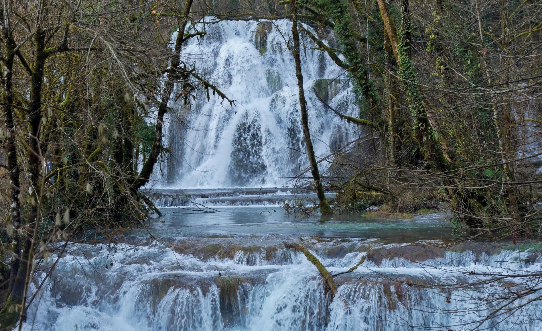A waterfall surrounded by trees.
