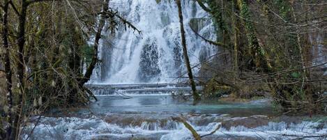 A waterfall surrounded by trees.