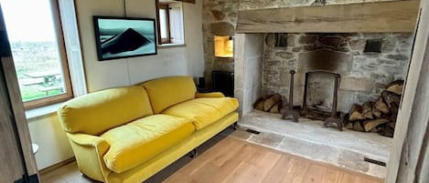 TV, fireplace