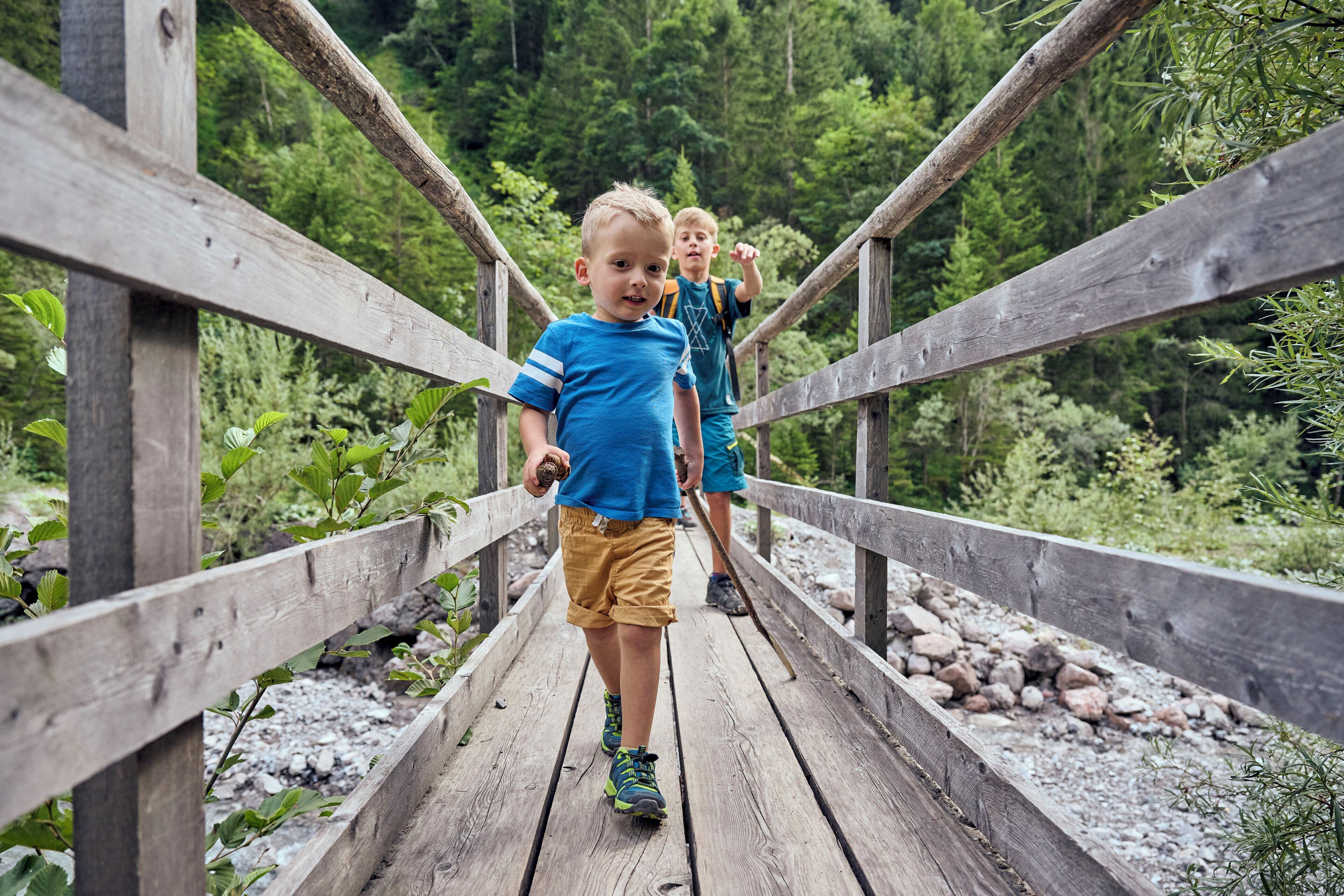 A wooden bridge in a forested area.