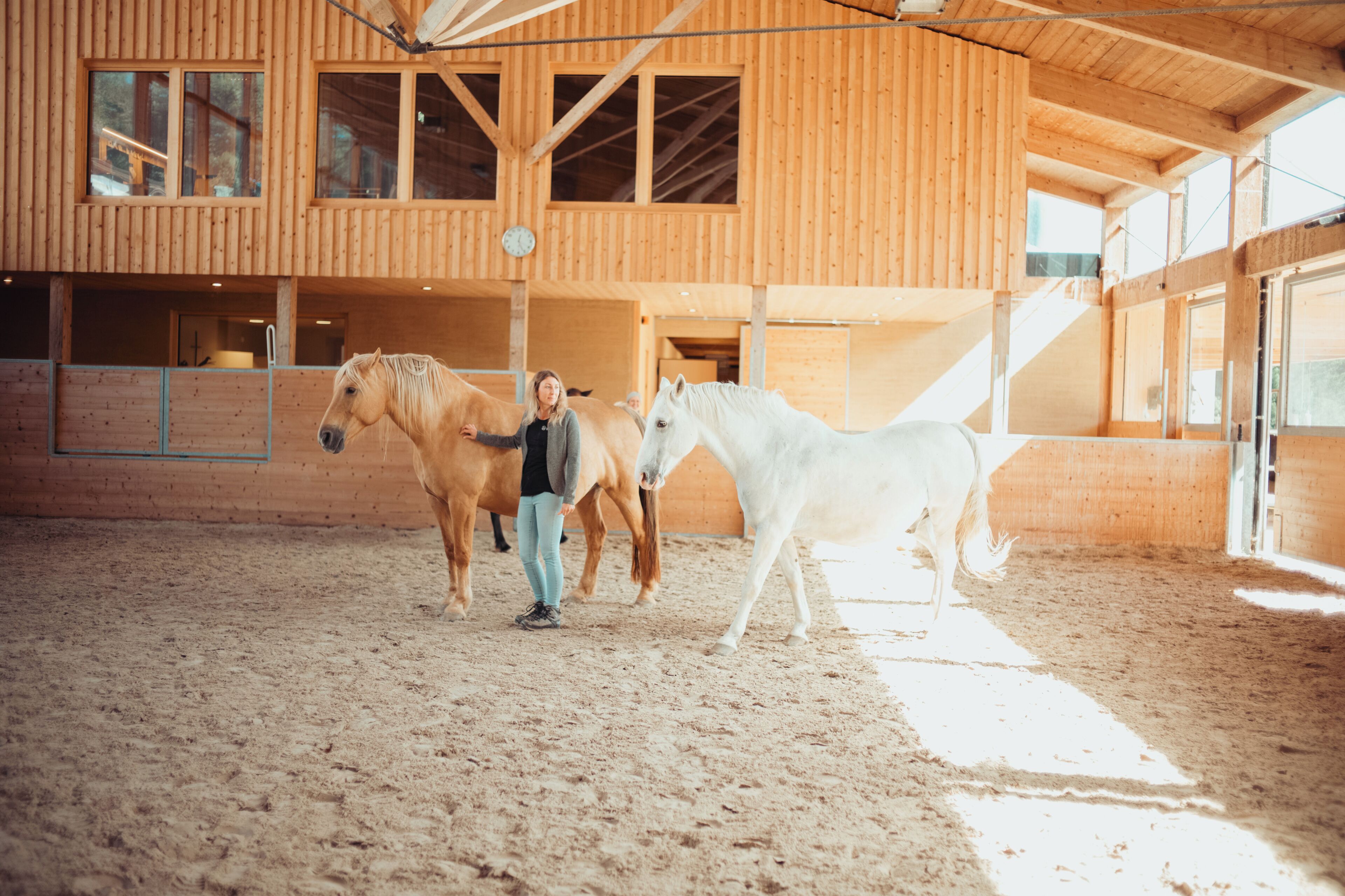 A wooden building with a stable area, a person, and two horses.