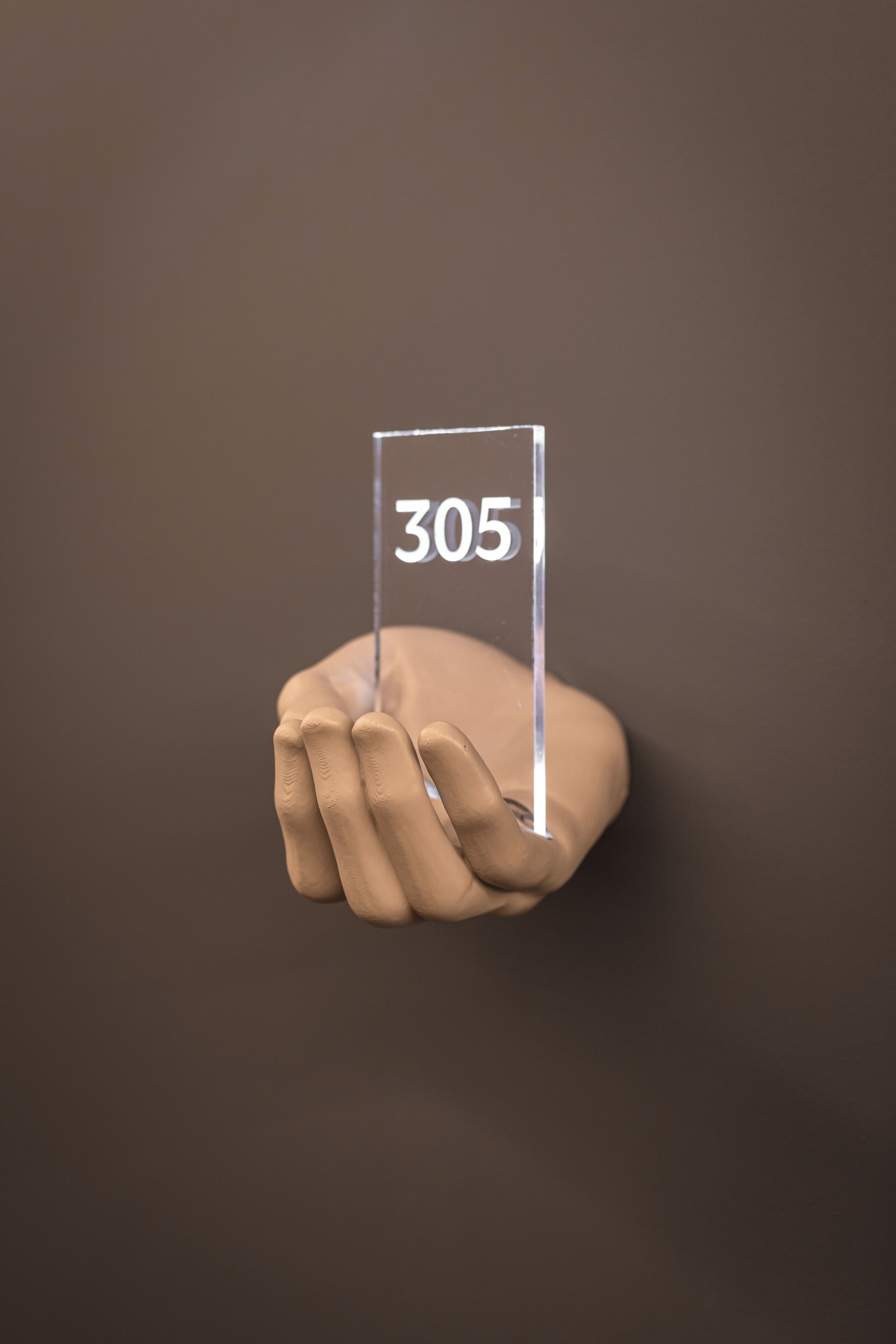 A hand holding a transparent block with the number 305.