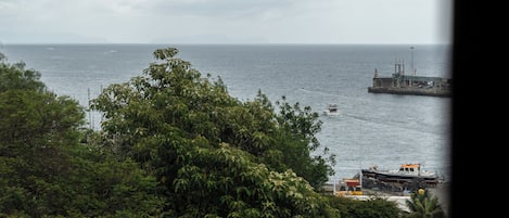 Beach/ocean view
