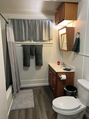 Hair dryer, towels, soap, toilet paper