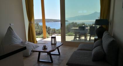 Beta/Gamma Semi-detached houses reunited