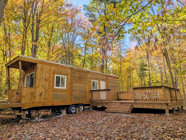 A wooden cabin with a small deck and a covered area, surrounded by autumn foliage.