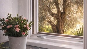 En potteplante med lyserøde blomster på en køkkenbordplade ved siden af et vindue med udsigt til et træ.