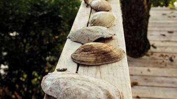 A wooden deck with a row of smooth stones aligned along its edge.