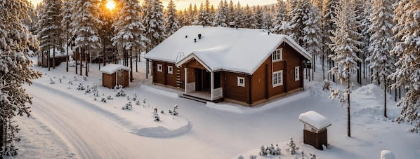 Exterior - Charming Lapland Villa With Mountain Views and Private Sauna (Pelkosenniemi)