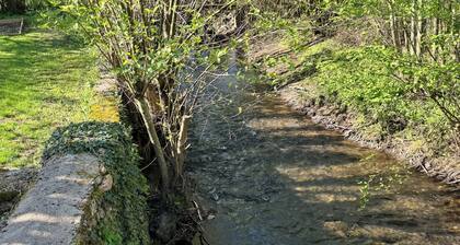 Ancien moulin au cĆur du vignoble du mĂąconnais en bordure de riviĂšre
