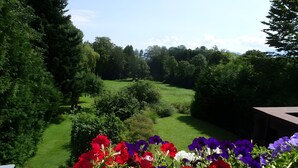 A garden with a variety of trees and a lawn.
