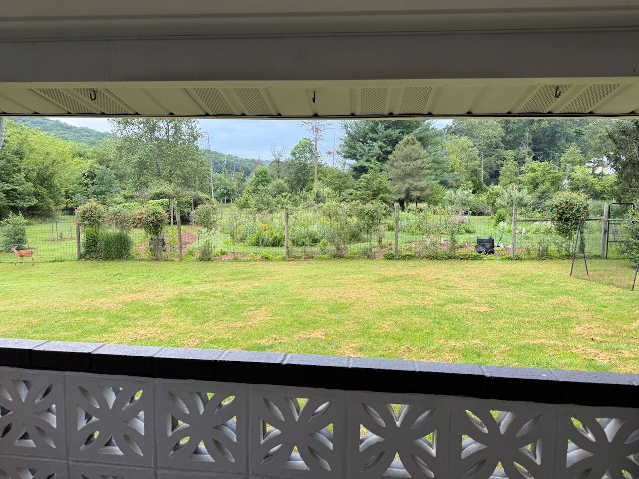 Enceinte de l’hébergement