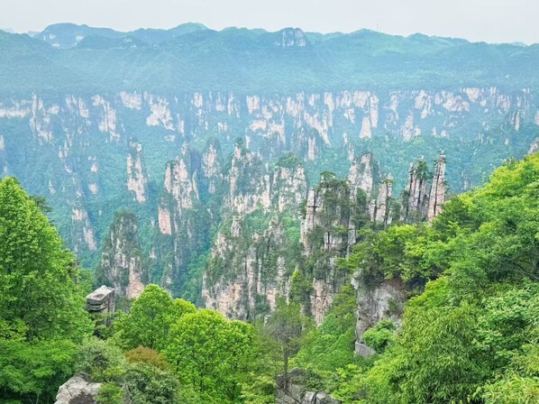 A mountainous landscape with tall, narrow rock formations and dense green foliage. - QīTiānYōupǐnZhāngjiājièDàyōngGǔchéngDiàn (Zhangjiajie)