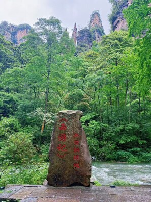 Miscellaneous - QīTiānYōupǐnZhāngjiājièDàyōngGǔchéngDiàn (Zhangjiajie)