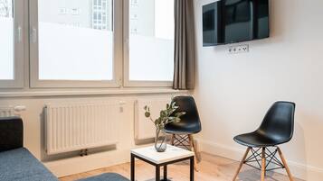 Fernseher, Arbeitsbereiche