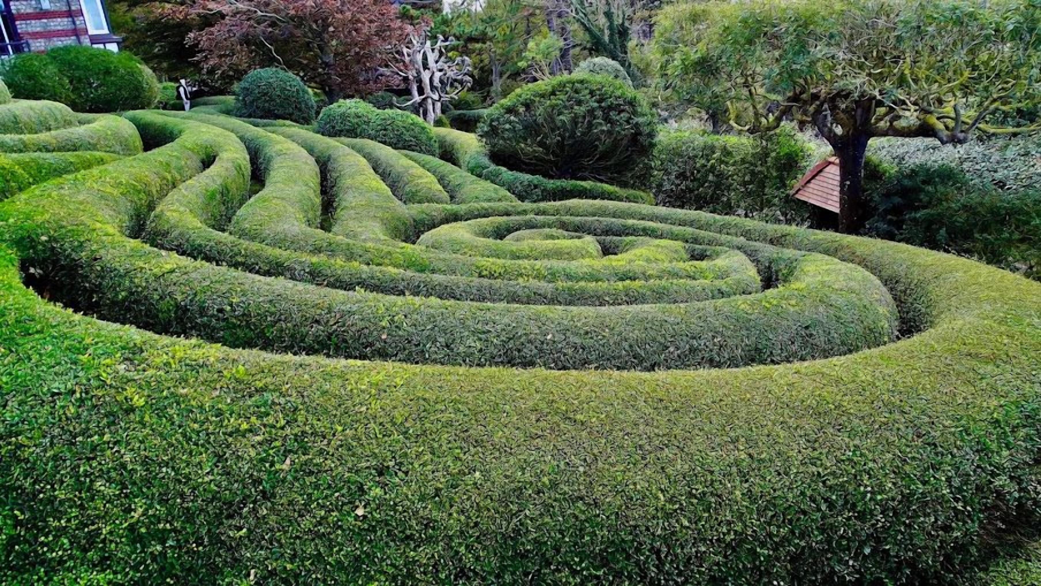 Un jardín ajardinado con un diseño de seto laberíntico.