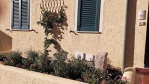 Un edificio con dos ventanas, un muro de piedra y un pequeño jardín con plantas y flores.