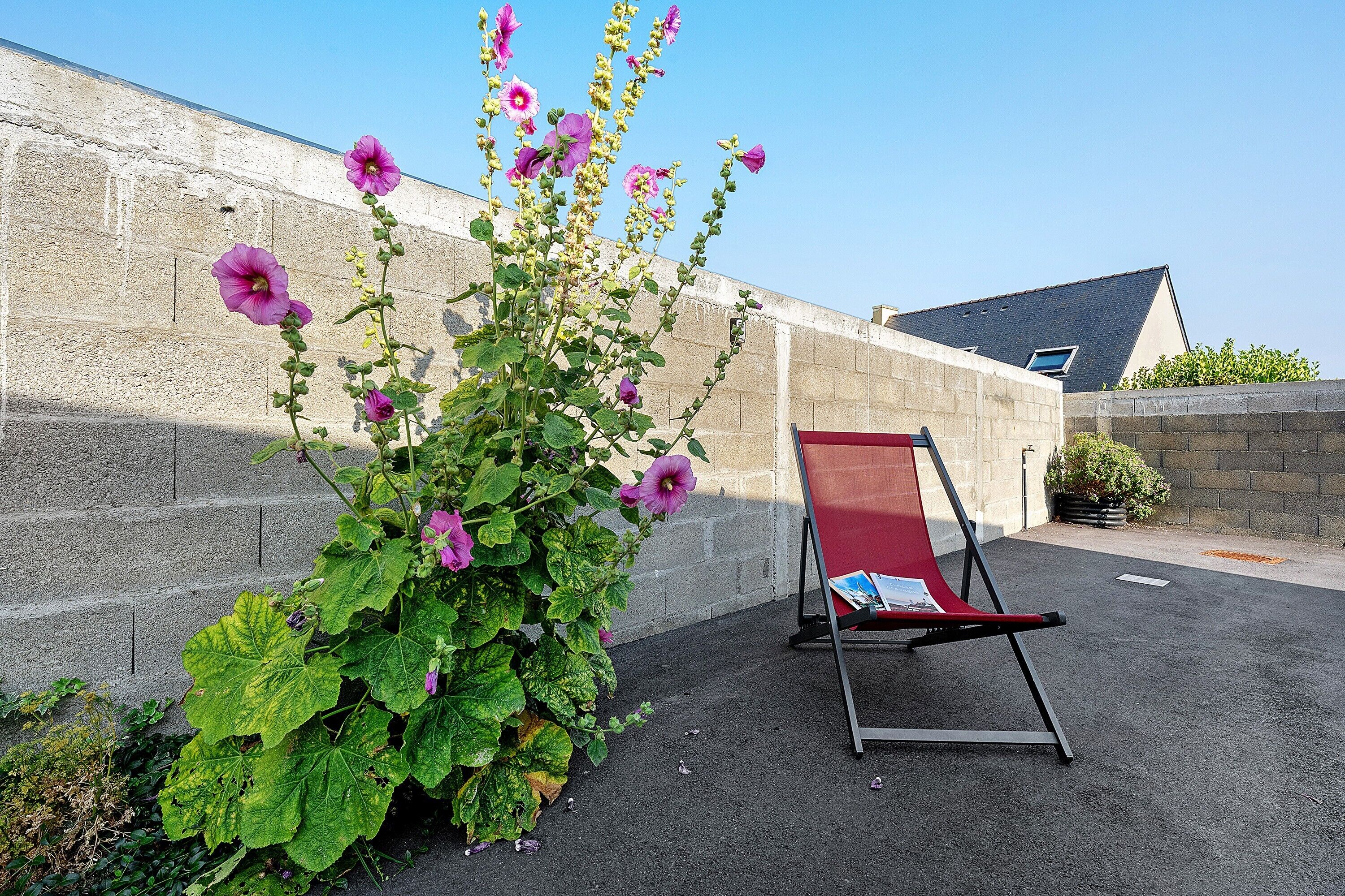 A garden with a flowering plant and a red chair.