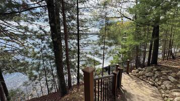 A forested area with a stone pathway leading to a body of water.