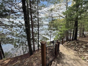 A forested area with a stone pathway leading to a body of water.
