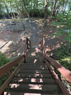 A wooden staircase leading into a forested area.