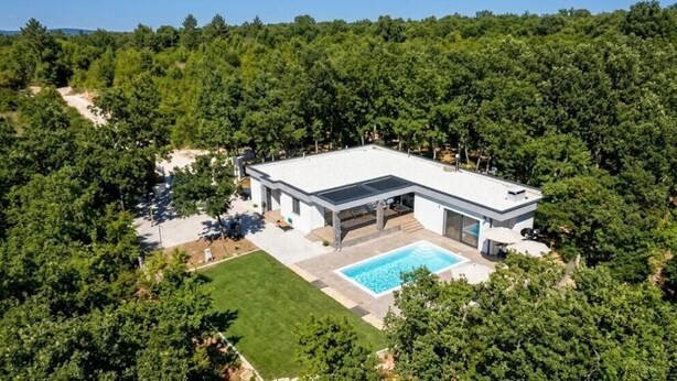 A modern house with a swimming pool, surrounded by dense trees.
