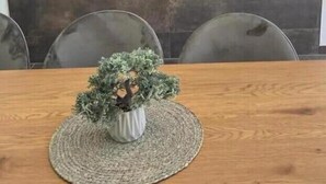 A fireplace with a fire, a dining table with chairs, and a small potted plant on the table.