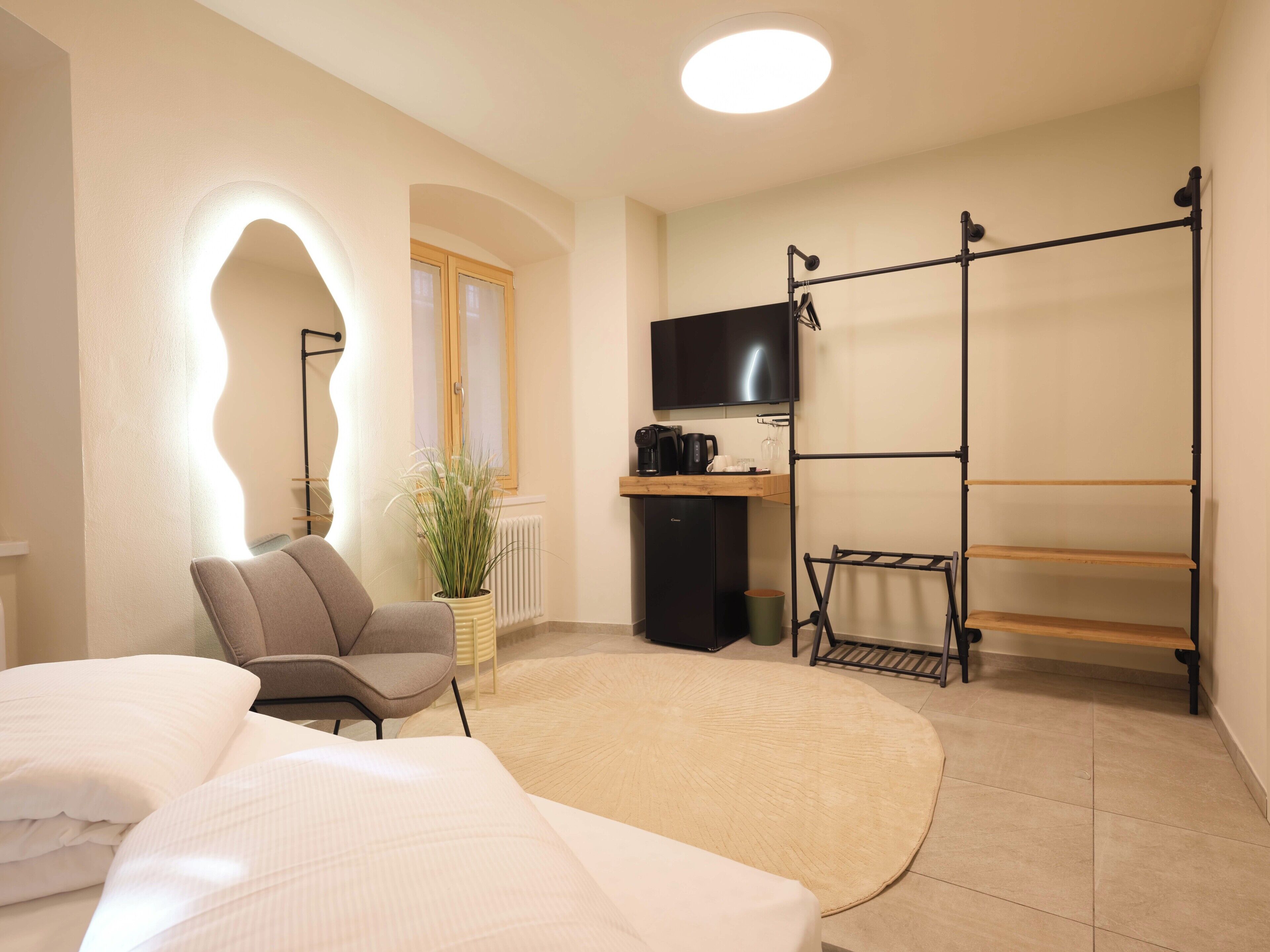 Habitación de hotel con una cama, una silla, una mesita con una planta, un radiador, un televisor y un tendedero.