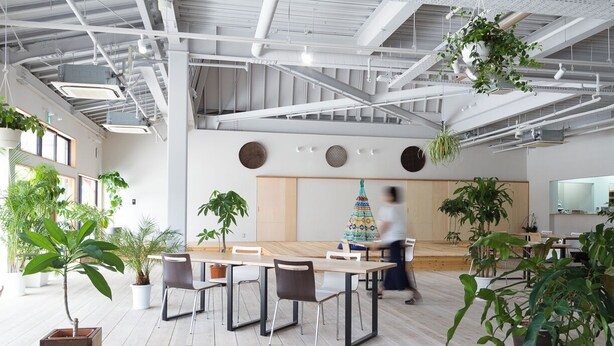 A modern office space with a long table, multiple chairs, and abundant indoor plants.