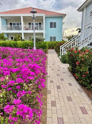 Property grounds - Luxury New 2BR Apartment near Blue Bay Beach, 20m Pool, Sleeps max 4 (Sint Michiel)