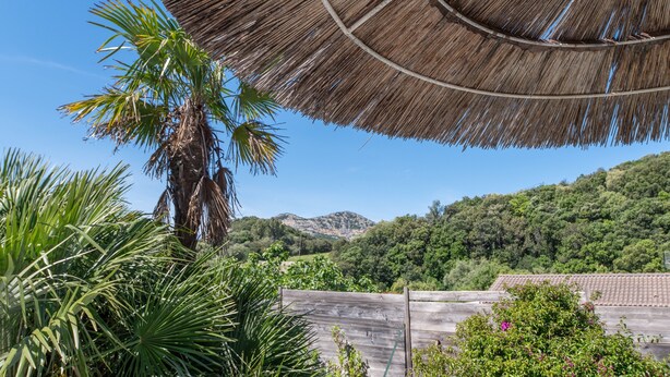 A thatched roof structure, palm trees, and a mountainous backdrop.