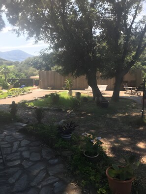 Property grounds - Apartment 'La Terrasse' with Mountain View and Wi-Fi (Patrimonio)