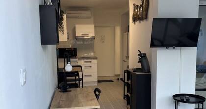 Appartement pour location saisonniĂšre (cure et vacances)