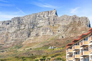 Apartment (1 Bedroom) | Interior - The Cedar 202 (Cape Town)