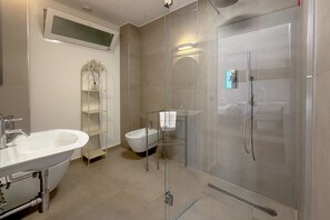 Regadera, secadora de cabello, bidet, toallas 