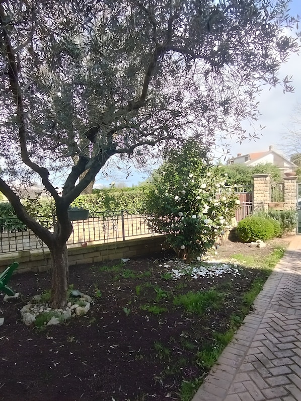 A tree-lined garden with a brick pathway and a stone wall.
