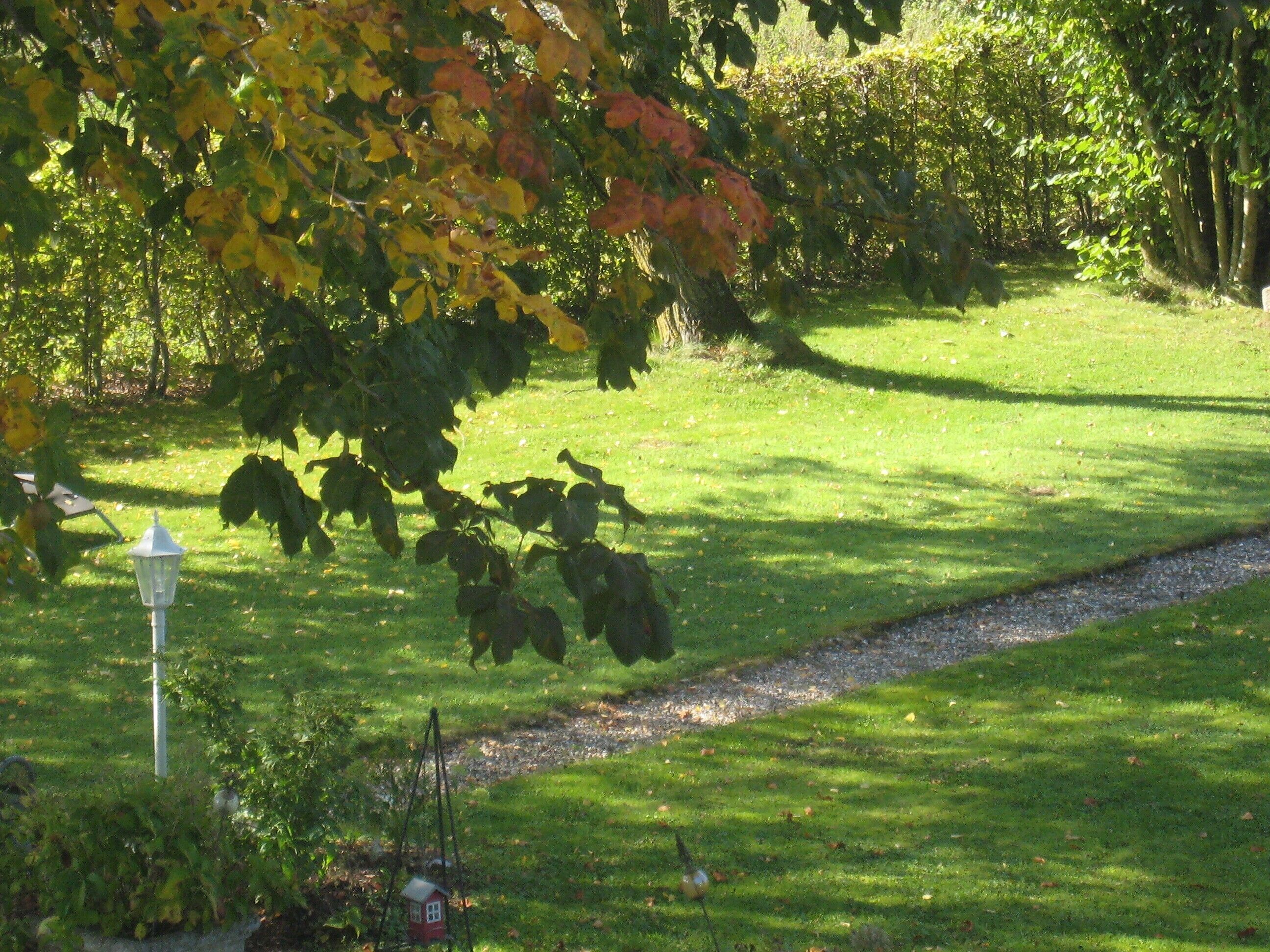 Une zone herbeuse avec un sentier, une petite structure rouge qui ressemble à une maison et un lampadaire.