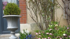 A garden with a stone planter, flowering plants, and a brick wall.