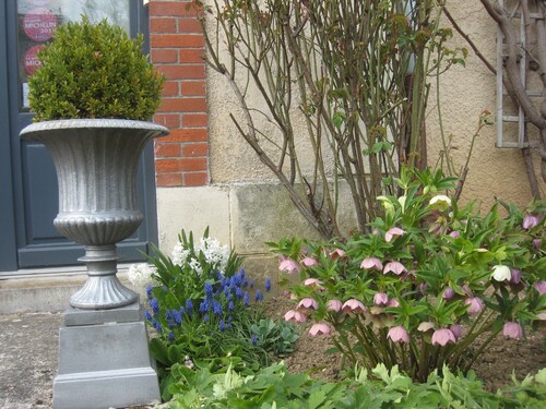 Guest Room “Les Charmilles - Blue Room”