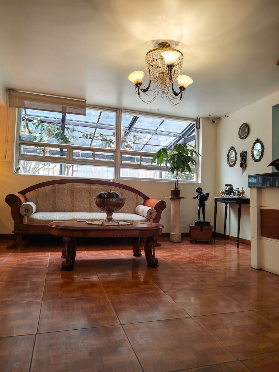 Quarto com sofá, mesa, lustre, planta em vaso e bicicleta.