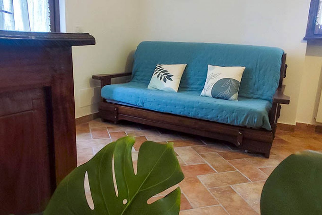 A blue sofa with two pillows, a wooden cabinet, and a large green plant in the foreground.