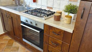 A kitchen with a gas stove, oven, sink, wooden cabinets, and a potted plant.