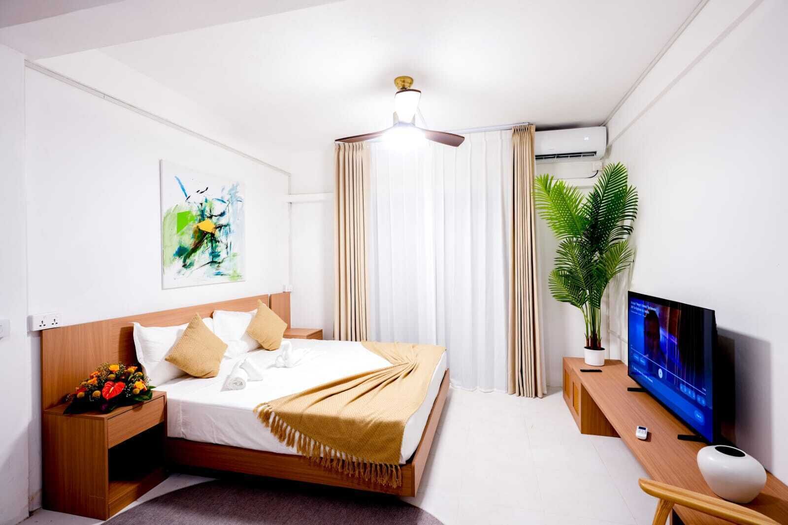 A hotel room with a bed, a TV, a plant, and a ceiling fan.