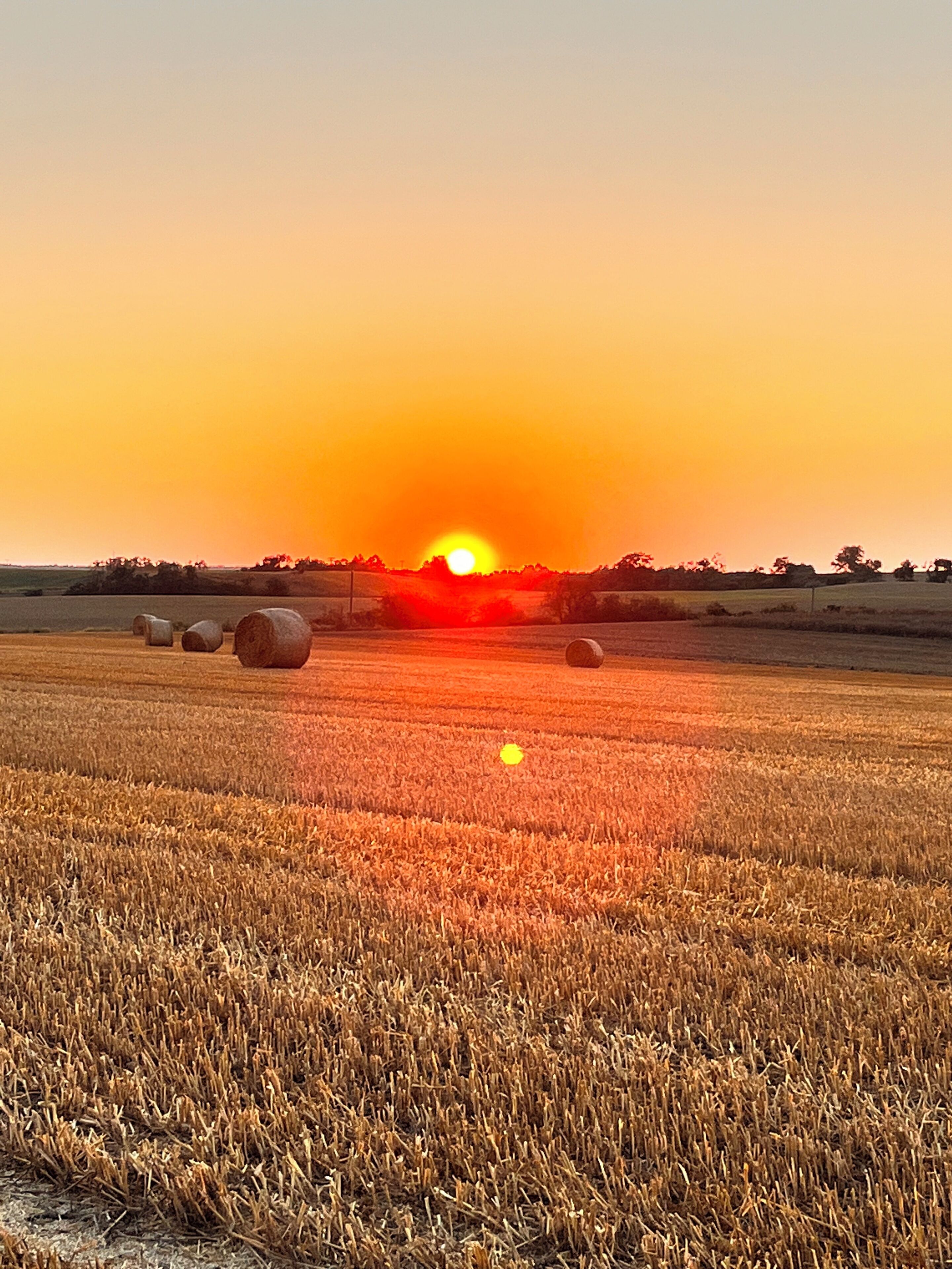 Et mark med høballer og en solnedgang i baggrunden.