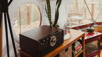 Interior de una carpa con una radio antigua, estanterías, un trípode para cámara y una decoración de piñas.