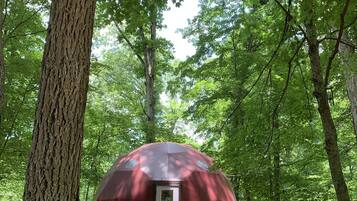 Una estructura abovedada en un bosque, con una terraza de madera y una puerta.